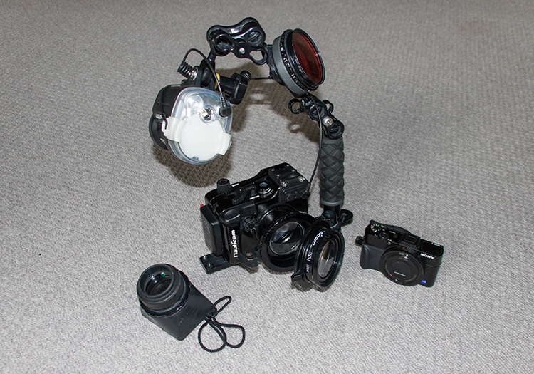 c54