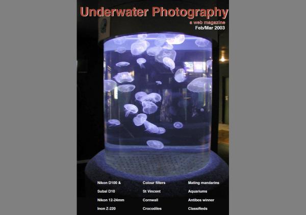 UwP issue 11 cover