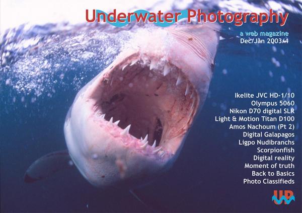 UwP issue 16 cover