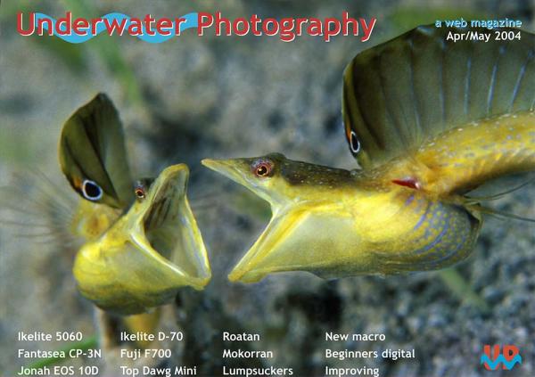 UwP issue 18 cover