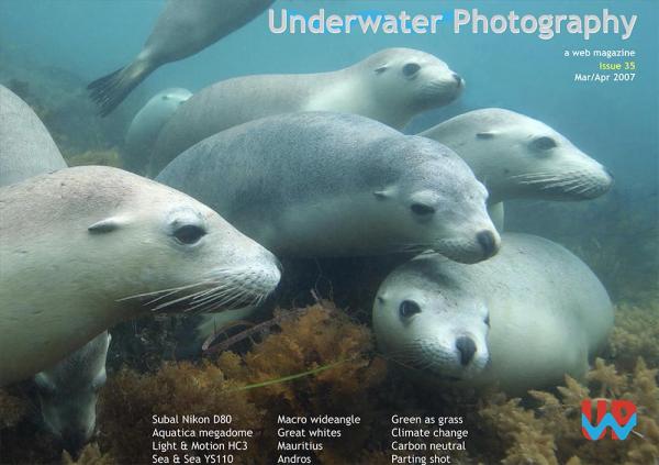 UwP issue 35 cover