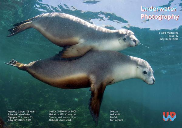 UwP issue 42 cover