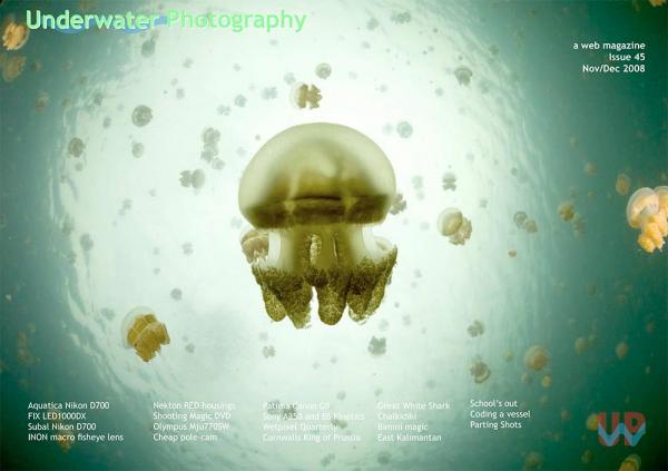 UwP issue 45 cover