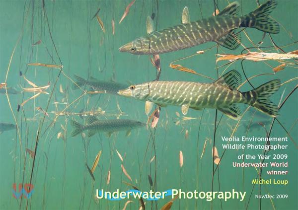 UwP issue 51 cover