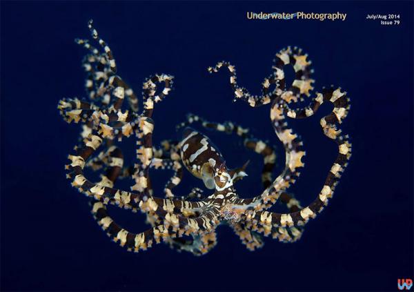 UwP issue 79 cover