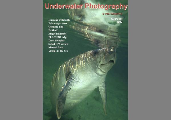 UwP issue 8 cover